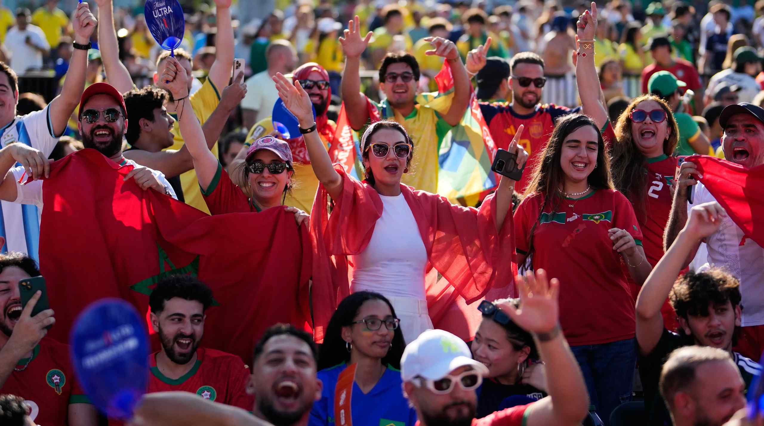 world cup fans cheering